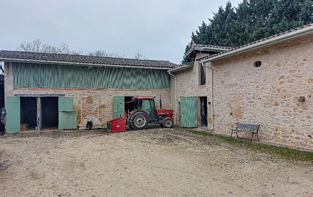 Annonces MERIGNAC : Domaines / Propriétés | BORDEAUX (33000) | 244 m2 | 1 260 000 € 